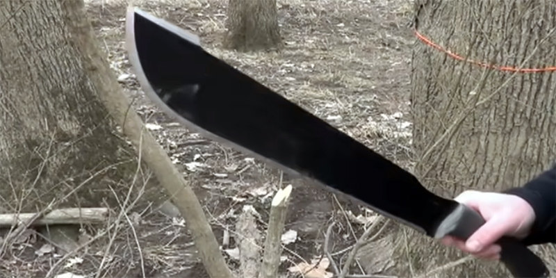 ХОРОР ВО СРБИЈА: Маж со мачета му нанел исеченици на сограѓанин по телото и главата