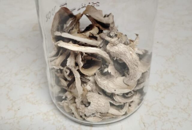 Германка фатена на „Табановце“ со тегли со „магични печурки“