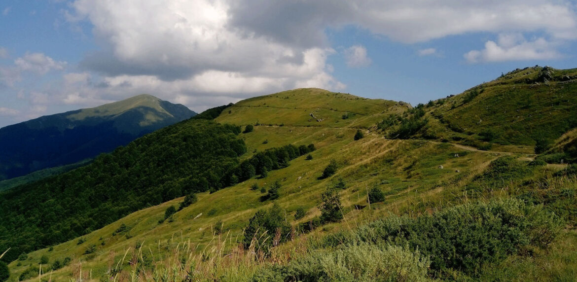 Д-р Муча: Со пешачење до прочистување на организмот по празниците