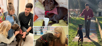 Позитива на денот! Скопската клиника за психијатрија вдоми лабрадор: „Им носи чувство на смиреност на пациентите“