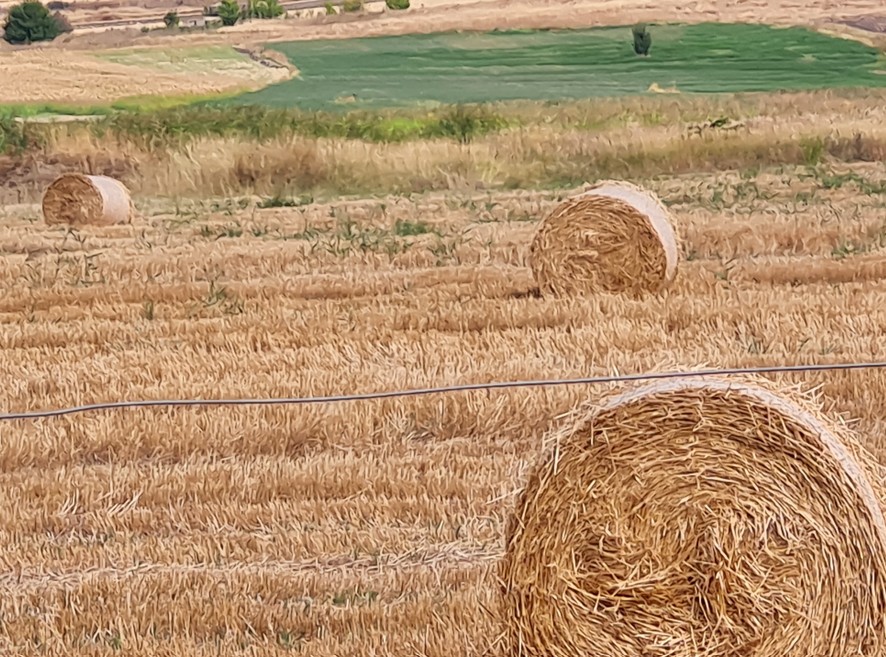 Глобалниот раст се забавил во последните години, подобрени прогнозите на СБ за 2026 година