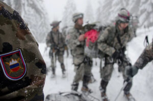 Словенија влегува во „студената војна“ за Гренланд, испраќа двајца офицери