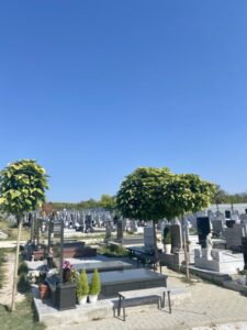 Тепачка за паркинг на гобиштата во Ѓорче Петров