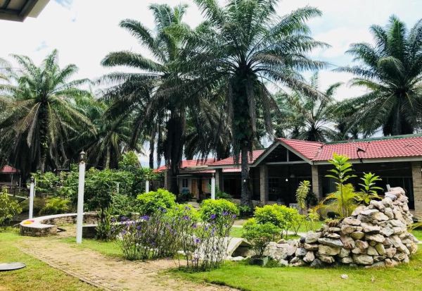 Првиот пензионерски дом за млади нуди бегство од стресот што го носи модерниот живот