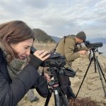 Денес се пребројуваа водните птици во Преспа, има 14.353 единки од 19 видови