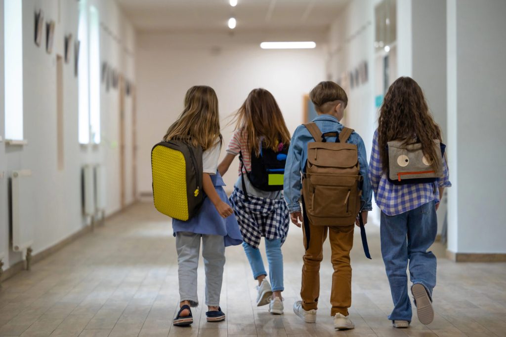 ИЈЗ: Нема потреба од продолжување на зимскиот распуст, грипот на ниво на средна активност