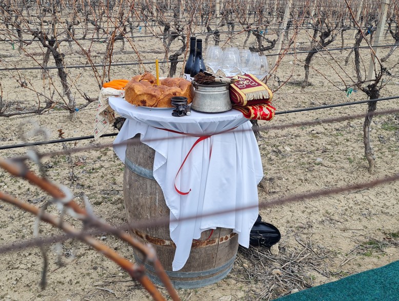 ИЗБРАНИ НАЈДОБРИТЕ „ЗАКРОЈУВАЧИ“ ВО НЕДЕЛАТА НА ЛОЗАРИТЕ