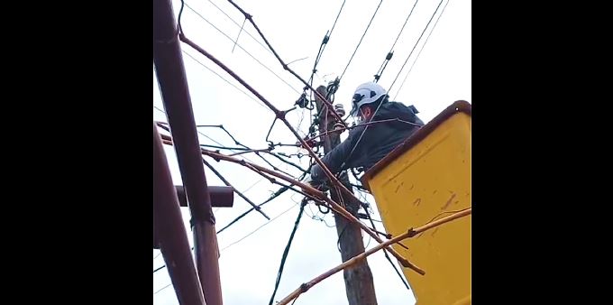 Електродистрибуција: Нашата одговорност не е само стабилното снабдување со електрична енергија, туку и грижата за сите во заедницата – па и за нашите крзнени пријатели