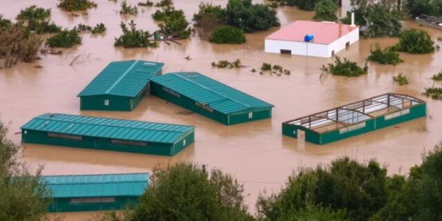 Разорната бура „Марта“ донесе закана од недостиг и зголемување на цените на зеленчукот во цела Европа