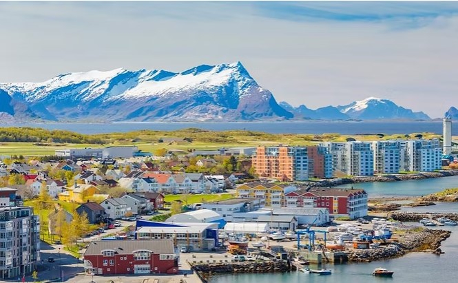 Запознајте го Бодо во 2 минути