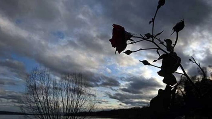 УХМР: Променливо денеска, попладне и во текот на ноќта со врнежи од дожд, на планините снег, слично време и во наредните денови