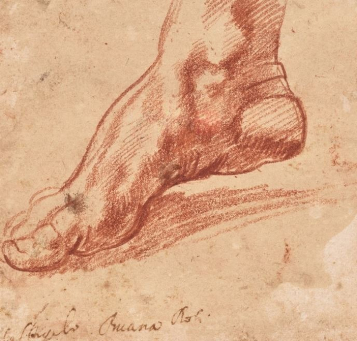 Цртеж на Микеланџело од пред 500 години, продаден за 27,2 милиони долари