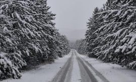 Снег, одрони и сообраќајни незгоди блокираа повеќе патишта низ земјата, АМСМ препорачува внимателно возење