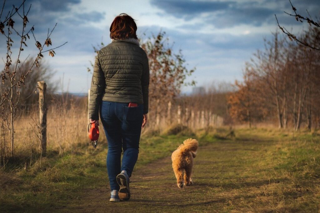 Сопствениците на кучиња да го почитуваат законот и да ги микрочипираат милениците