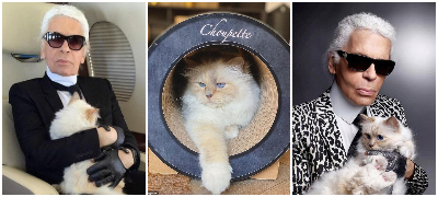 Драма за тестаментот на Карл Лагерфелд: Ѝ остави милиони на својата мачка, на семејството не му даде ништо