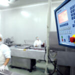 Странските инвестиции се важни, но нема раст без силна домашна економија