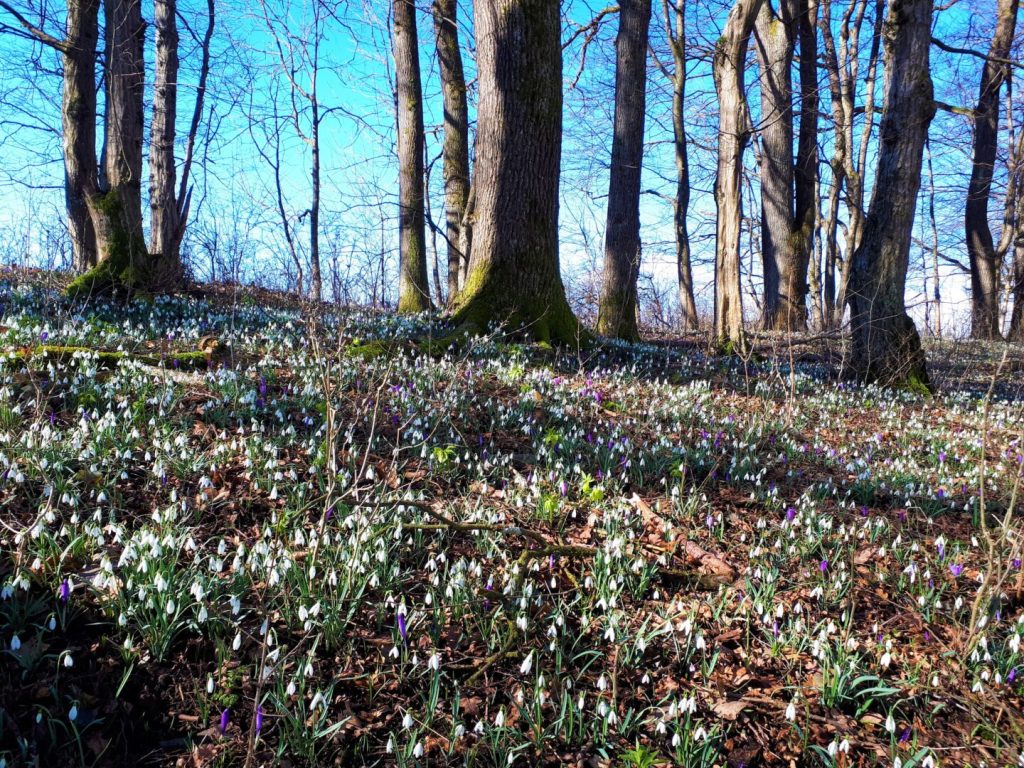 Следува период на стабилно и суво време, а дневната температура ќе биде во пораст