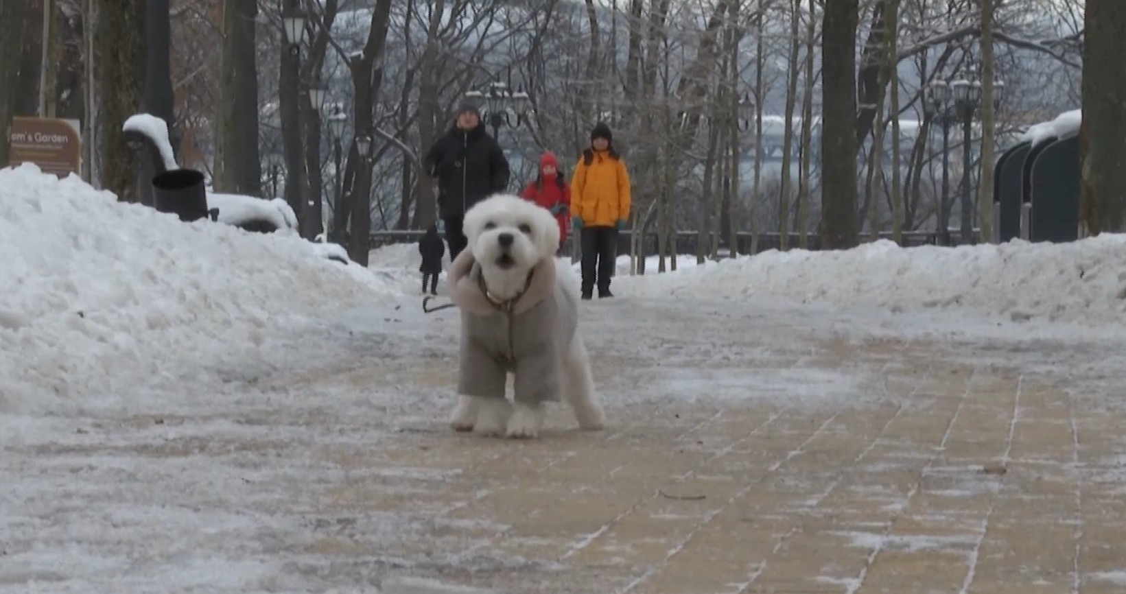 Преглед на вестите од светот