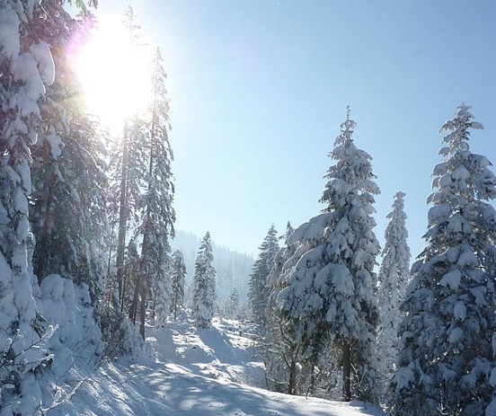 КАКВО Е ЕКОНОМСКОТО ВЛИЈАНИЕ НА ЗИМСКИТЕ ОЛИМПИСКИ ИГРИ МИЛАНО-КОРТИНА?