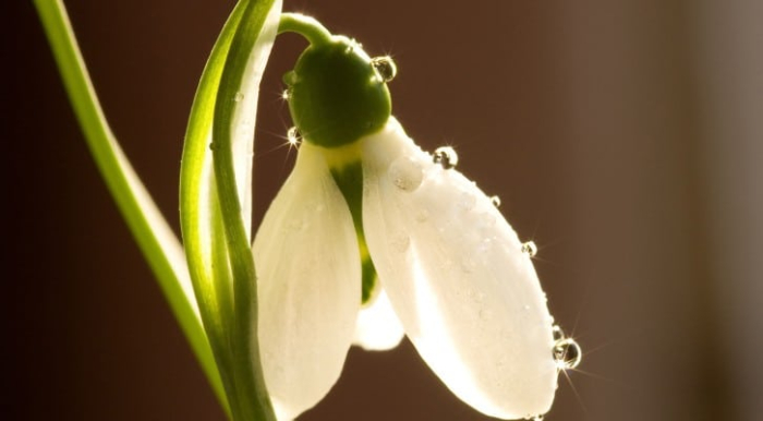 Сончево и стабилно време со засилен северен ветер долж Повардарието