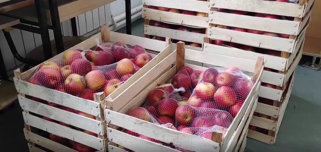 Исплатени 338 милиони денари за 9.567 овоштари