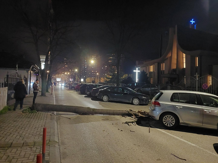 Паднато дрво кај Католичка – затворена улицата „Костурски Херои“