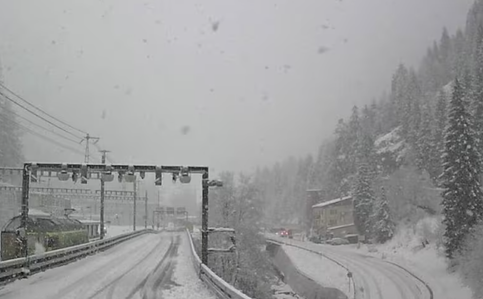 Лавина исфрли воз од шините во Швајцарија, во тек спасувачка акција