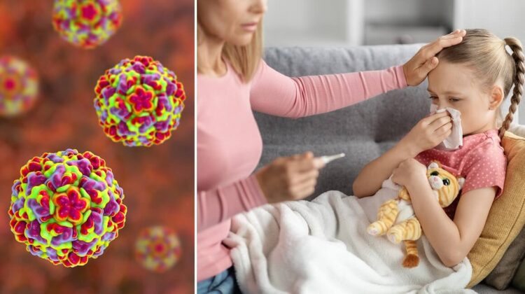 Риновирусот е причинител на обичната настинка, но еве кога станува опасен за децата