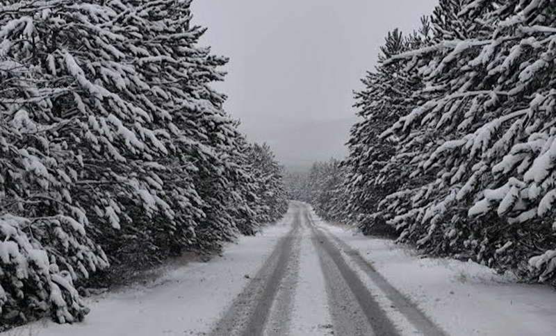 Снег, одрони и сообраќајни незгоди блокираа повеќе патишта низ земјата, АМСМ препорачува внимателно возење