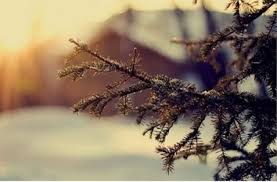 Временска прогноза: Променливо облачно и ветровито со услови за слаб снег