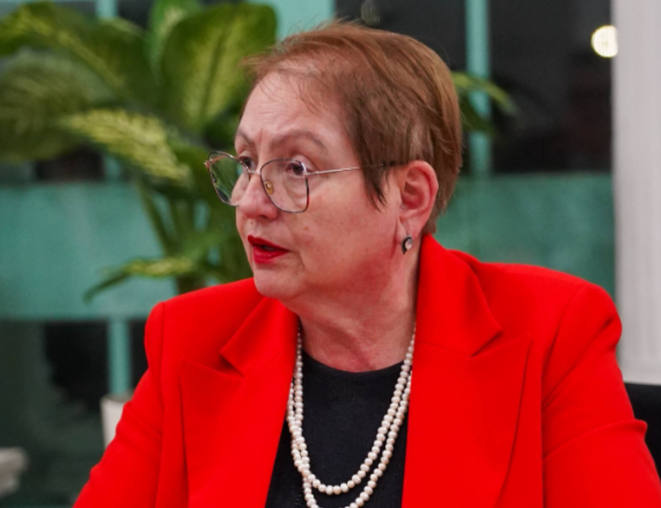 Јаневска: Не треба факултет за возачка, доволно е само основно образование