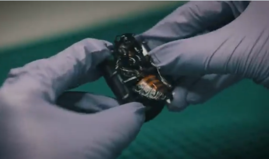 (ВИДЕО) Германија тестира „биоелектронски инсекти“ за извидување – нова воена технологија