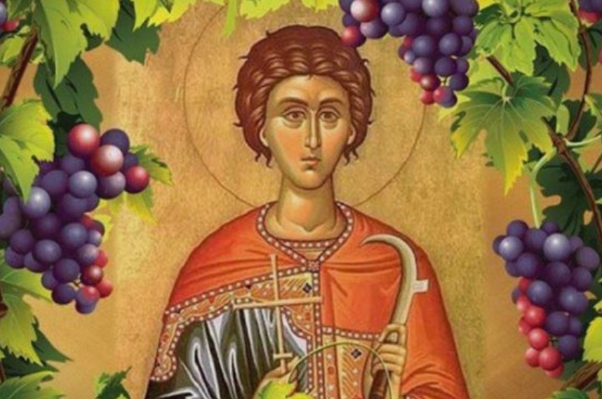 Денеска се празнува Свети Трифун, заштитник на градинарите и на лозарите – еве кои се обичаите!