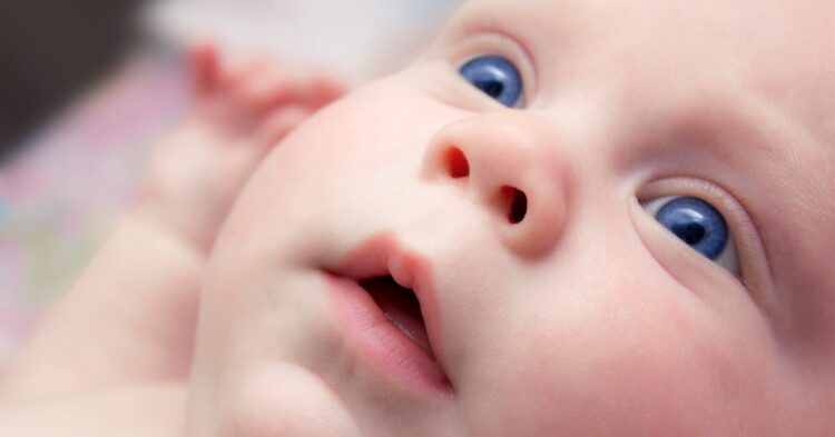 КАКО ГО ГЛЕДААТ СВЕТОТ: Зошто бебешкиот мозок „гледа“ поинаку од нашиот