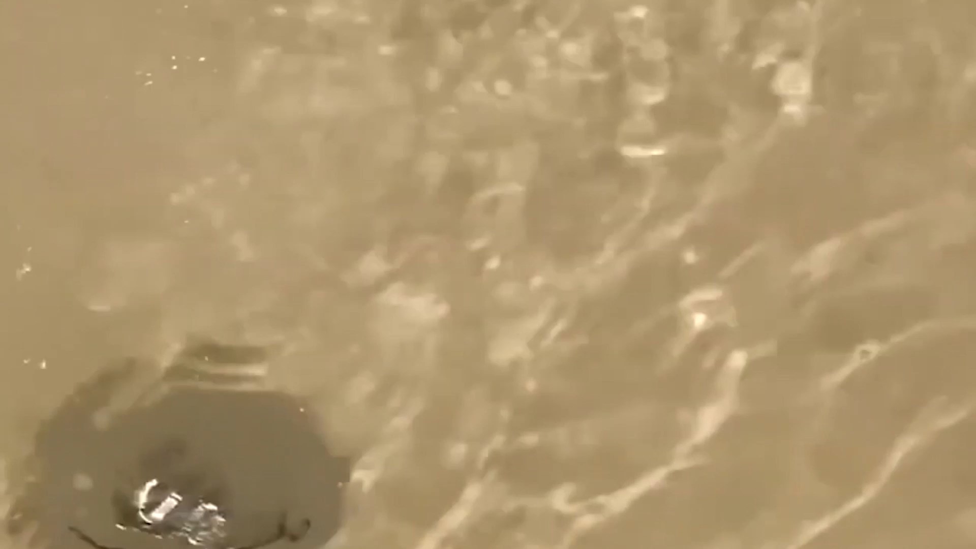 Од денес водата од “Шум” дозволена за техничка употреба, за пиење стружани ќе почекаат