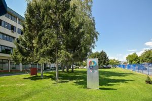 Настел продолжува да го намалува уделот во Реплек – продадени нови акции по трет пат за неполни два месеци