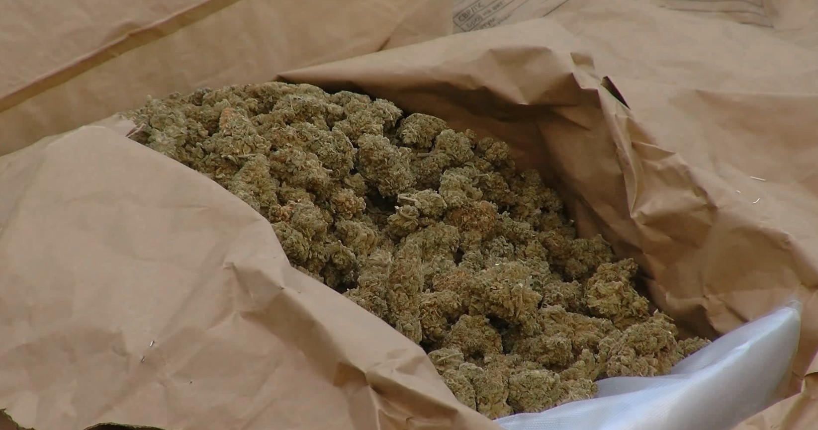 Пронајдена голема количина на марихуана - полициската акција се уште е во тек