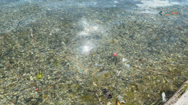 Загадувањето го загрозува „Црн Дрим“, институционалниот одговор слаб