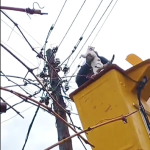 Хуман гест – Спасено маче заглавено во жици на бандера во Битола