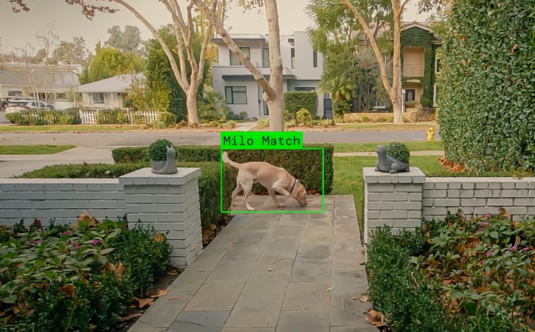 Паметна камера што бара кучиња ги загрижи Американците