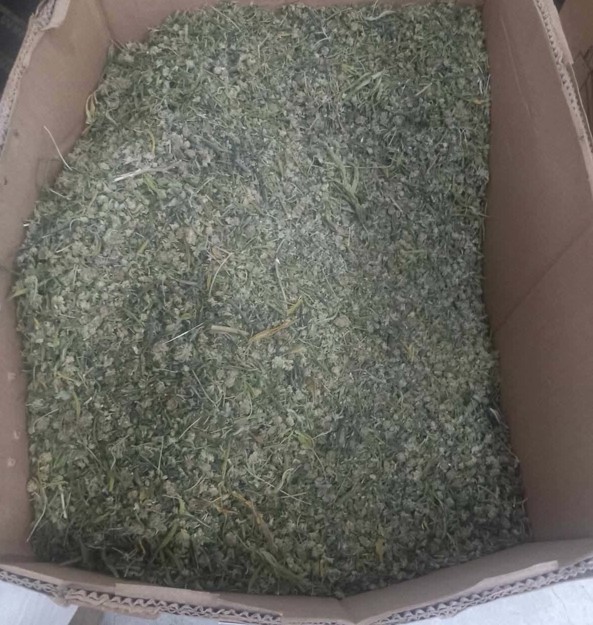 Ова се компаниите кои останаа без лиценца за одгледување канабис