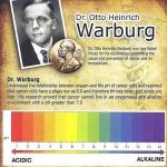 Алкална диета: Лек за канцер од 1923 година на познатиот германски научник Ото Хајнрих Варбург