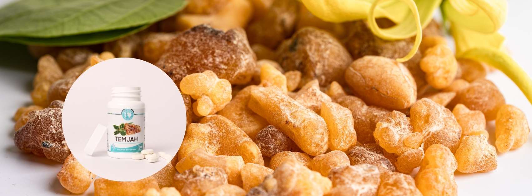 СИТЕ ПОТЕНЦИЈАЛИ НА ТЕМЈАНОТ – За што се’ може да ни помогне?