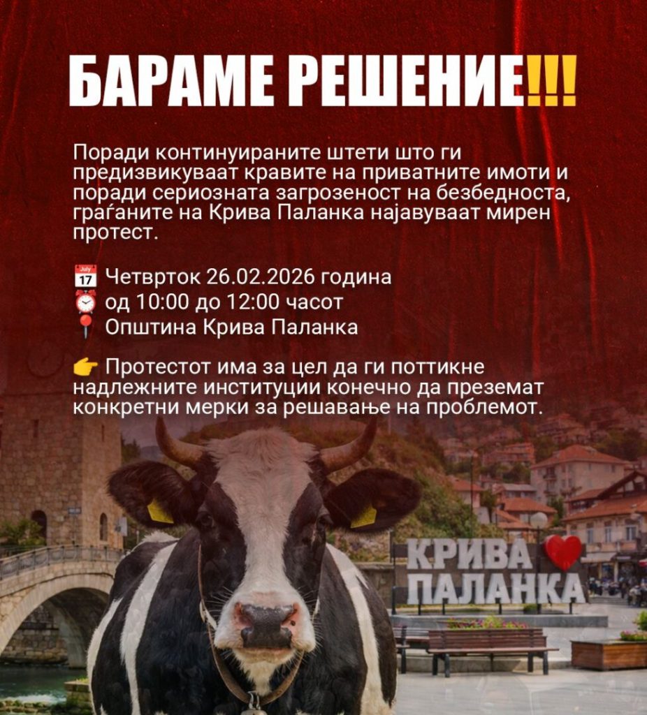 Протест во Крива Паланка поради неконтролираното движење на говеда и нанесувањето штети врз приватни имоти