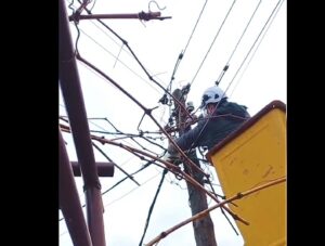 Хуман гест среде работна задача: Вработен во КЕЦ Битола спаси маче од електродистрибутивната мрежа