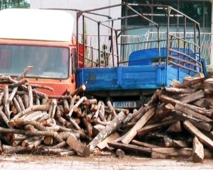 Кривична пријава за нелегална сеча, штета од над два милиони денари