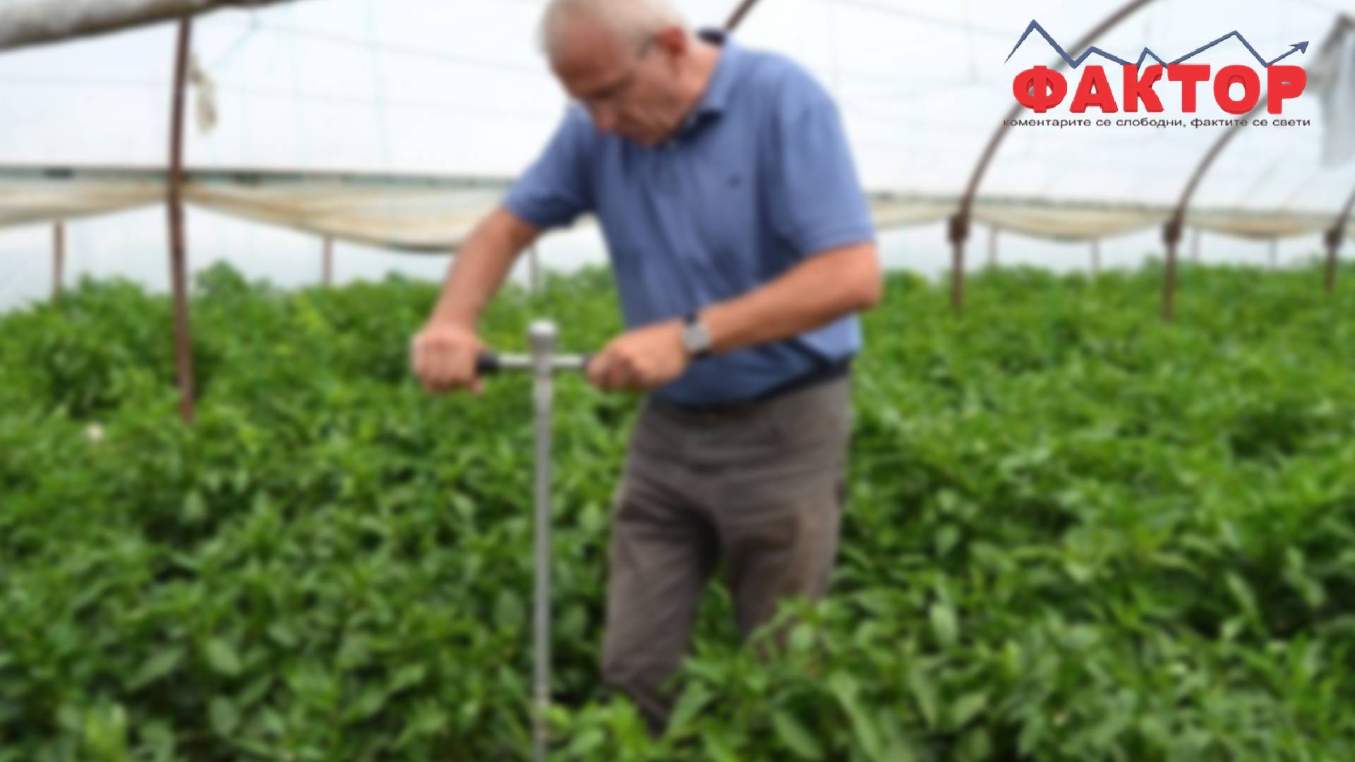 СЕ ДЕФИНИРААТ УСЛОВИТЕ ЗА ОРГАНСКО ПРОИЗВОДСТВО – ќе следуваат високи казни за прекршителите