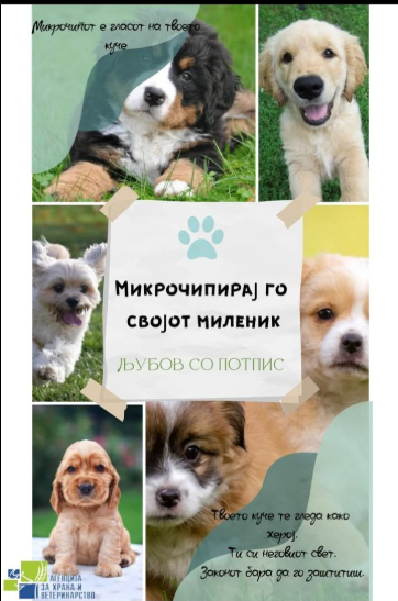 Да се почитува законот: Сопствениците на кучиња да ги микрочипираат милениците