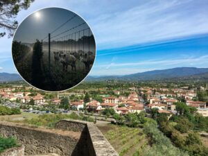 Загина при бегство по обид за грабеж – се заплетка во електрифицирана мрежа