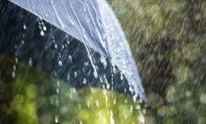 Дожд, снег, засилен северен ветер и пад на температурите